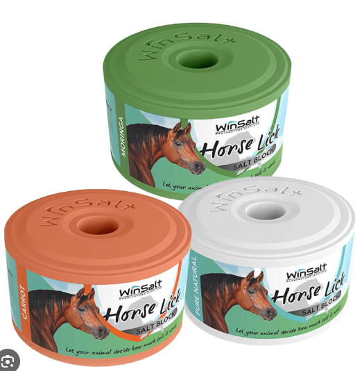 Equine Salt Block Garlic 2kg