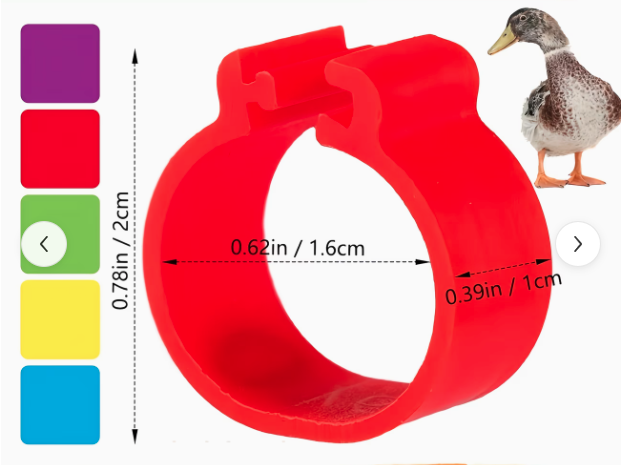 POULTRY ID RINGS 1'S