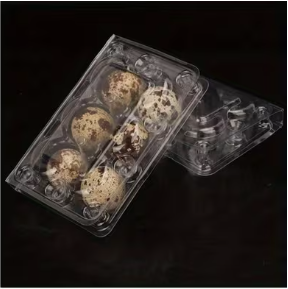 Quail Egg Tray 6's - Transparent
