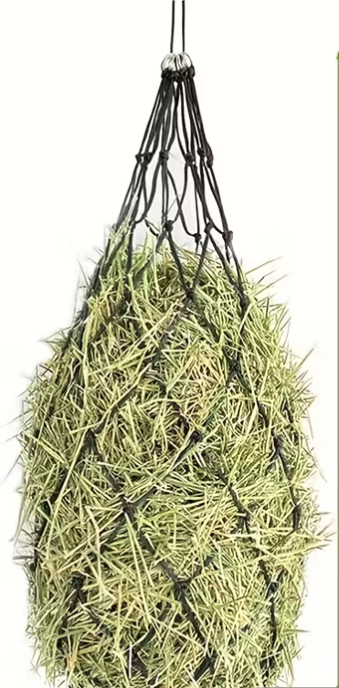 HAYNET