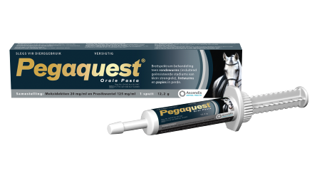 Pegaquest Paste 12.2g