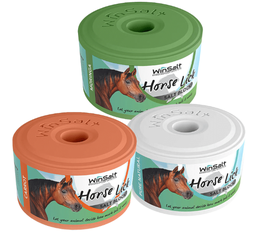 Equine Salt Block Apple 2kg