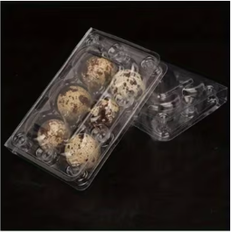 Quail Egg Tray 6's - Transparent