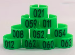 Pigeon ID Rings