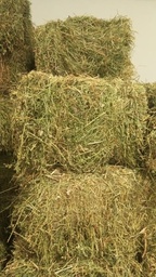 Lucerne Bales