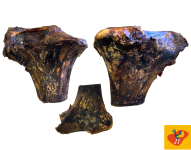 [B1011BI] Ostrich Large Knuckle